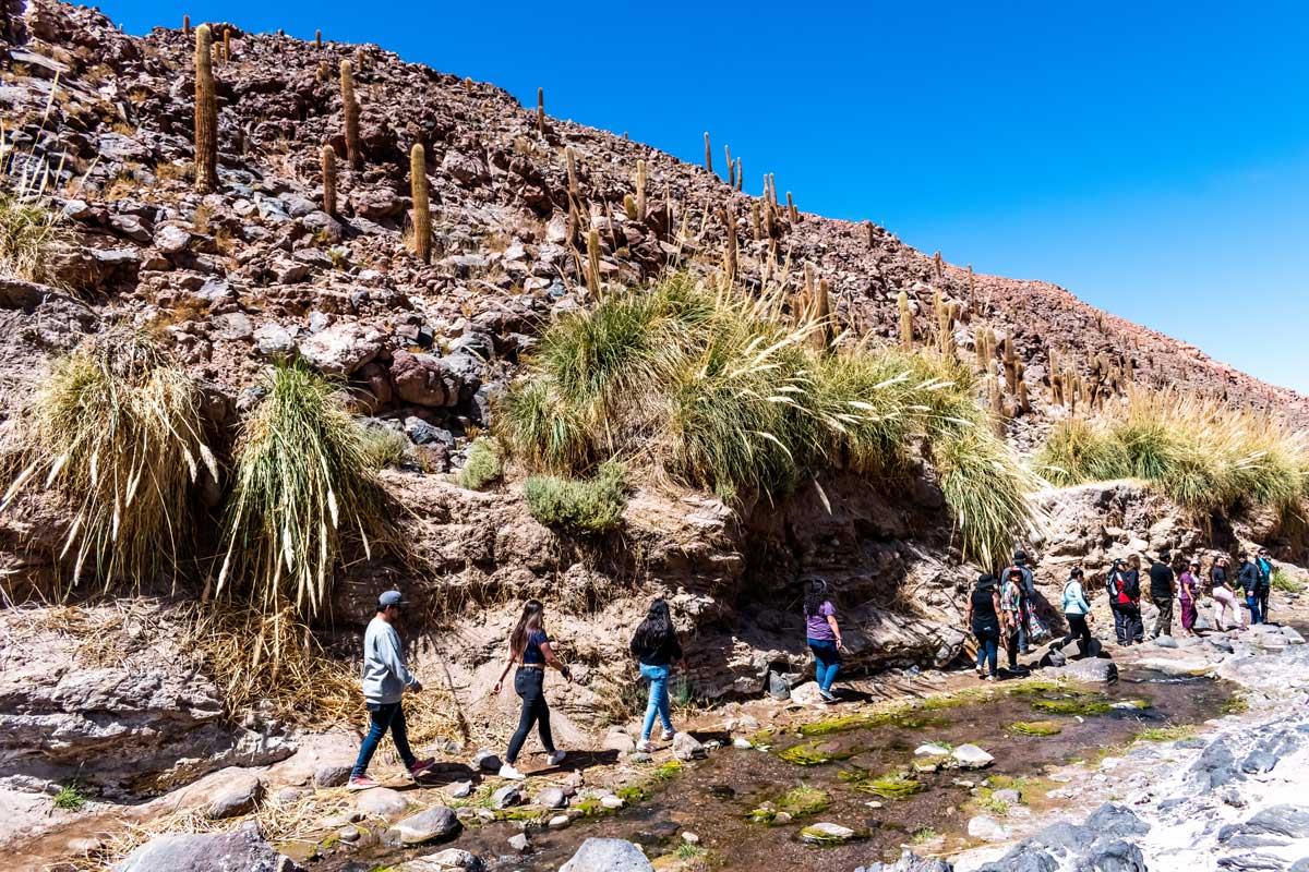 Trekking Cascadas y Cactus