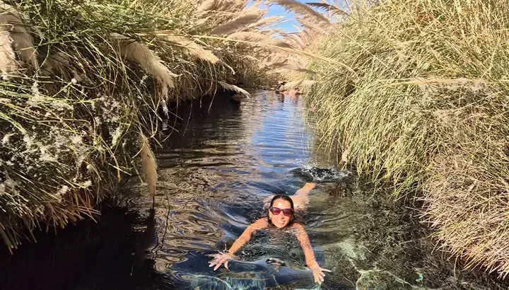 Transfer to Puritama Hot Springs + Entrance Ticket