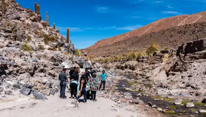 Trekking + Termas de Purilibre