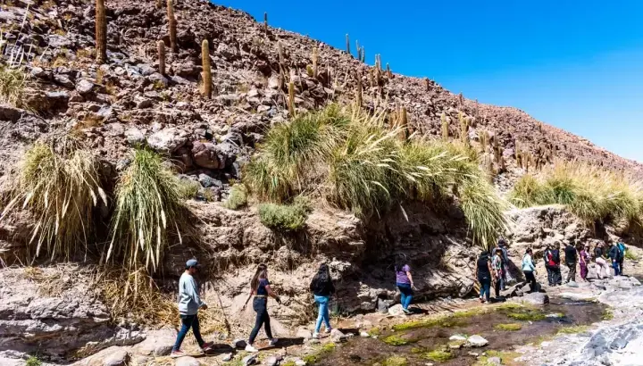 Trekking + Termas de Purilibre