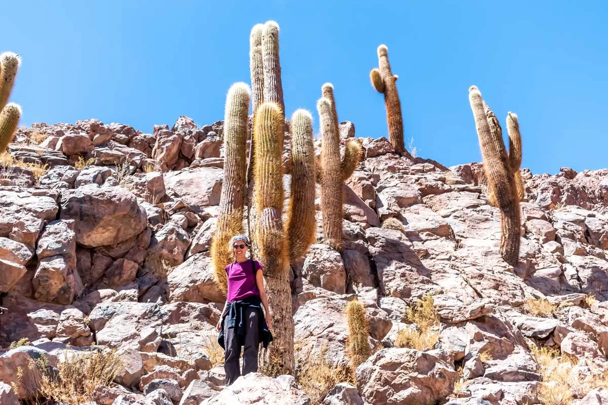 Trekking + Termas de Purilibre