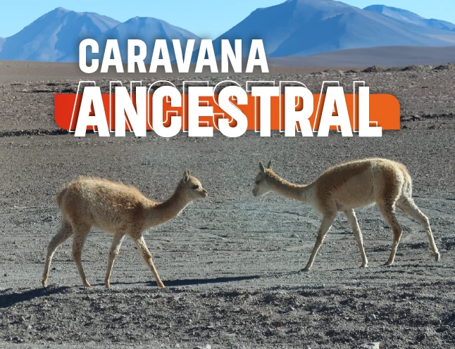 Caravana Ancestral