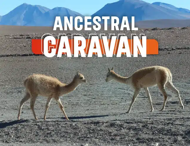 Ancestral Caravan