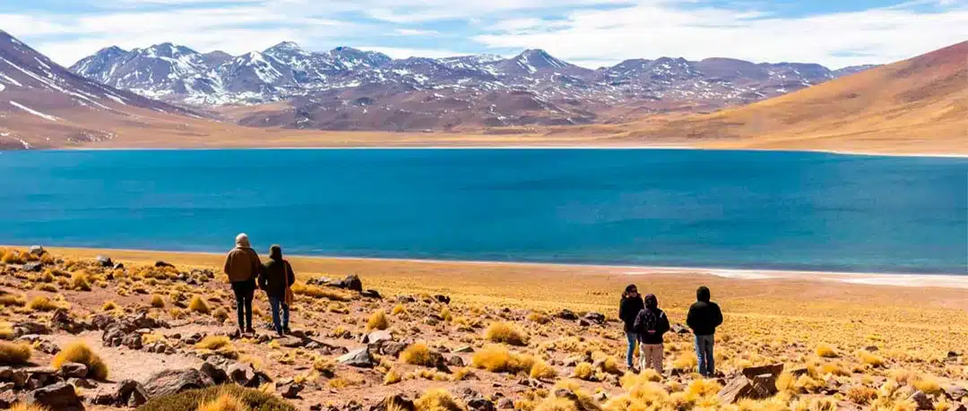 Red Rocks and Altiplanic Lagoons