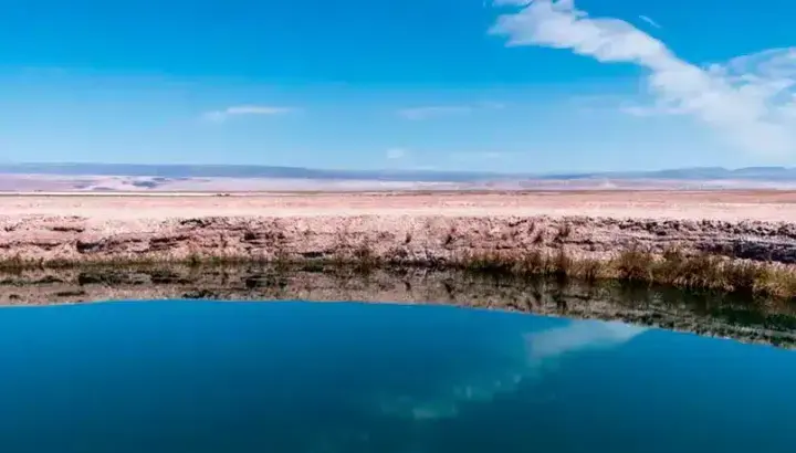 Cejar Lagoon, Eyes of the Salt Flat, and Tebinquinche Lagoon