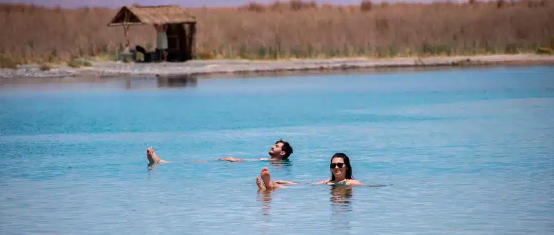 Cejar Lagoon, Eyes of the Salt Flat, and Tebinquinche Lagoon