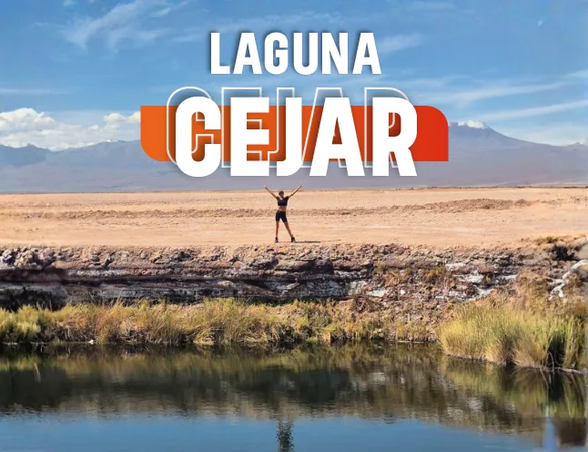 Tour a Laguna Cejar: Sumérgete en Aguas Salinas