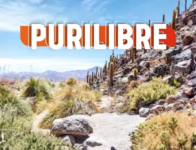 Purilibre